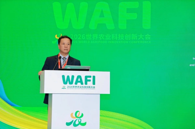 Innovation network proposed for smallholders and rural startups
